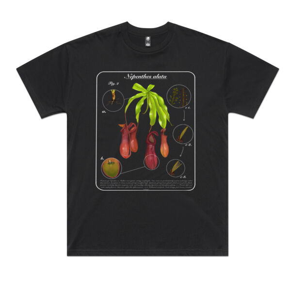 Nepenthes alata (dark + text) Thumbnail
