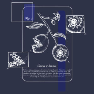 Citrus limon (dark) - AS Colour Womens Box Tee Design