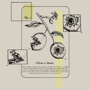 Citrus limon light - Thread Project Unisex Epic Tee Design