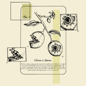 Citrus limon light - AS Colour Mens Staple Tee Design