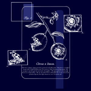 Citrus limon (dark) - AS Colour Mens Staple Tee Design