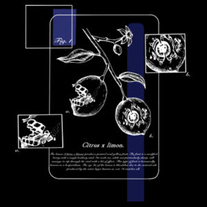 Citrus limon (dark) - AS Colour Mens Classic Oversized Tee Design