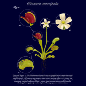 Dionaea muscipula - AS Colour Mens Classic Oversized Tee Design