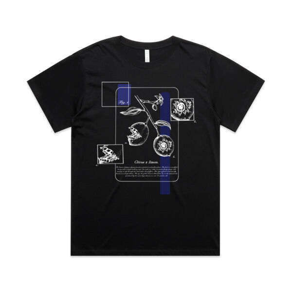 Citrus limon (dark) - AS Colour Womens Martina Boyfriend Tee Thumbnail