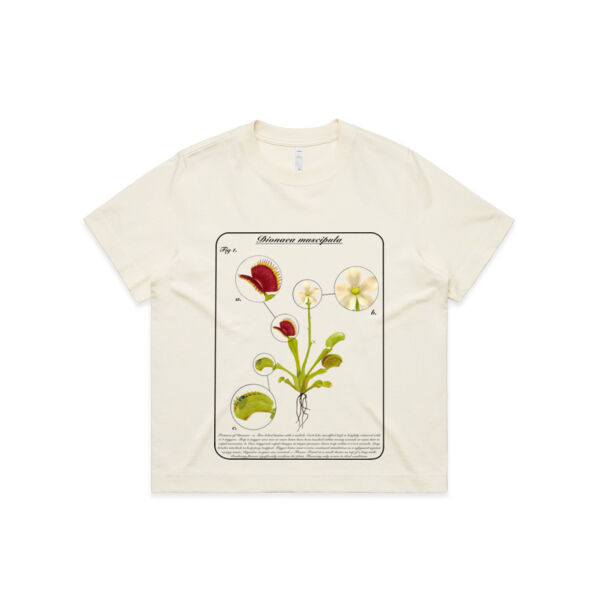Dionaea muscipula with text - AS Colour Womens Box Tee Thumbnail