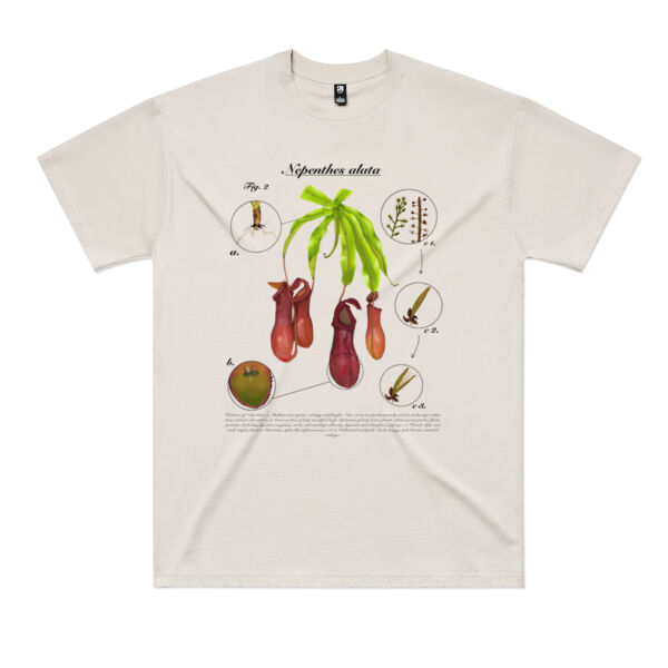 Nepenthes alata - AS Colour Mens Classic Oversized Tee Thumbnail
