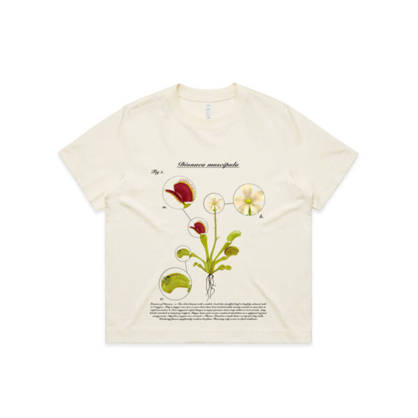Dionaea muscipula - AS Colour Womens Box Tee Thumbnail